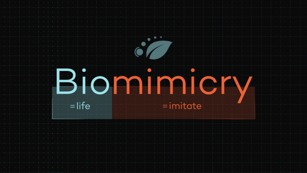 Biomimicry: Bio=life,mimicry=imitate