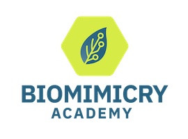 Biomimicry Academy logo