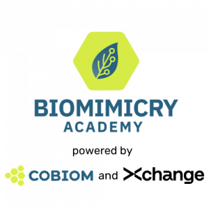 Biomimicry Academy logo